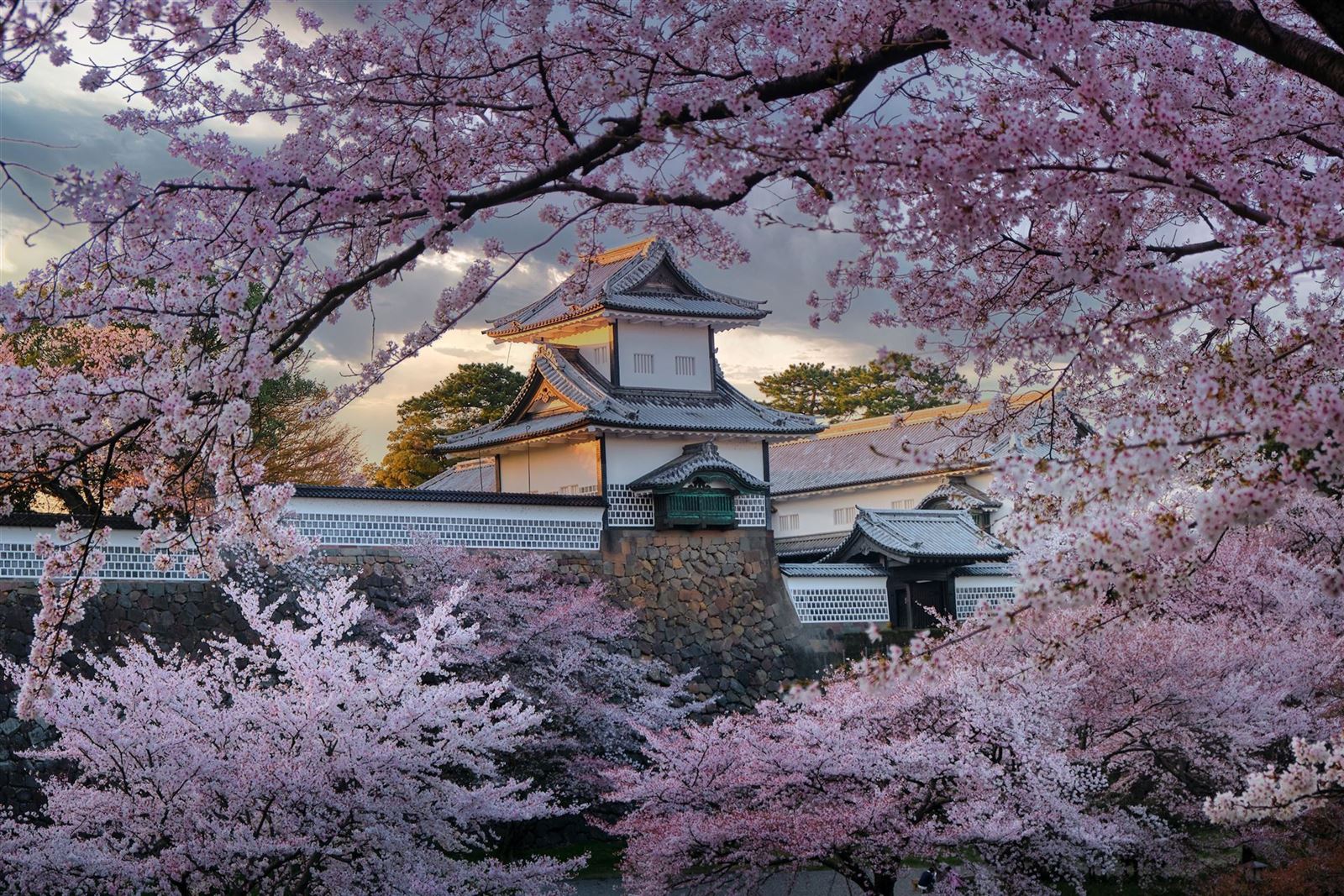 Kanazawa im Frühling